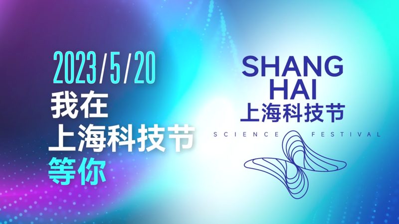定制化与标准化：教育机构数字化解决方案的差异化选择**