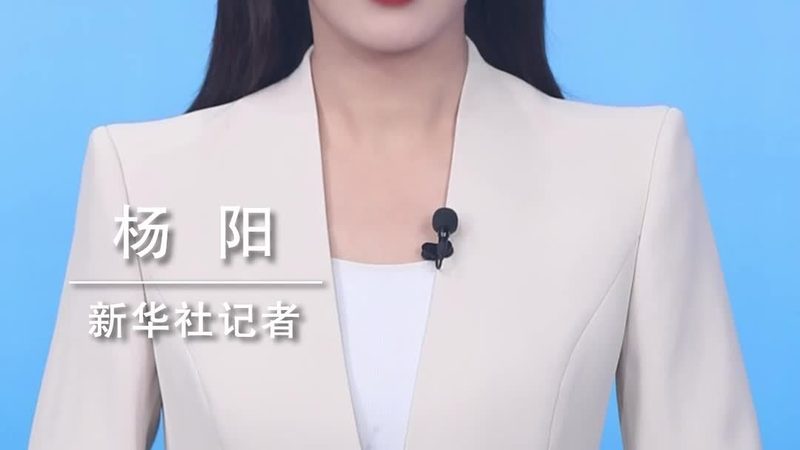 数据服务部署流程：揭秘高效运维的关键步骤**